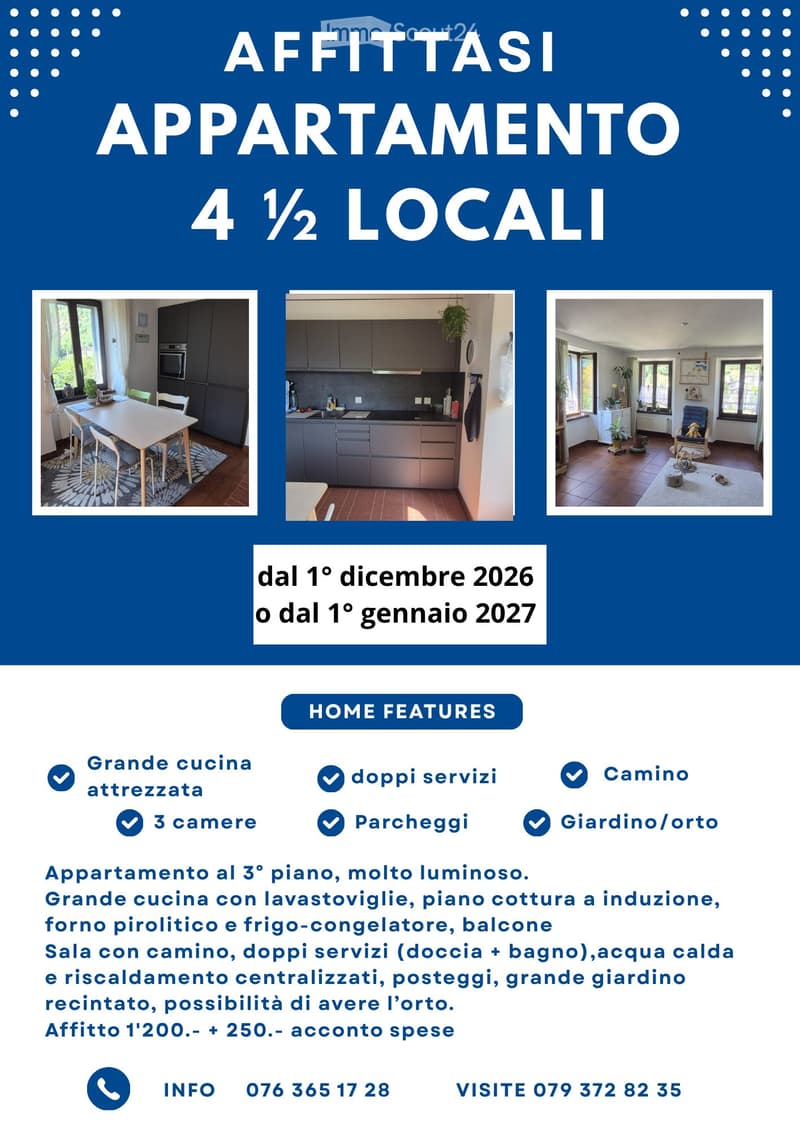 Ludiano appartamento molto luminoso 4.5 locali con camino (2)