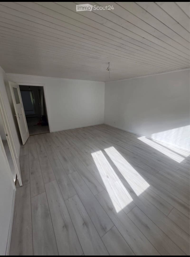 Vier Zimmerwohnung, 100 m² ab sofort vermieten (3)