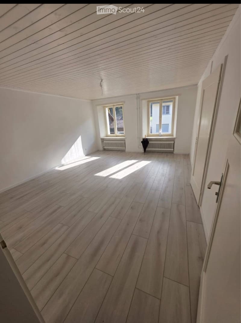 Vier Zimmerwohnung, 100 m² ab sofort vermieten (4)