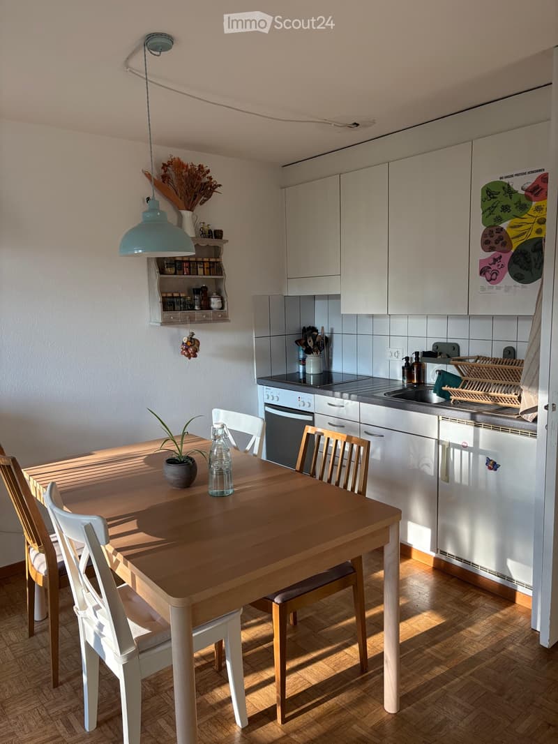 Möblierte 2.5-Zimmer Wohnung zur Untermiete (4)