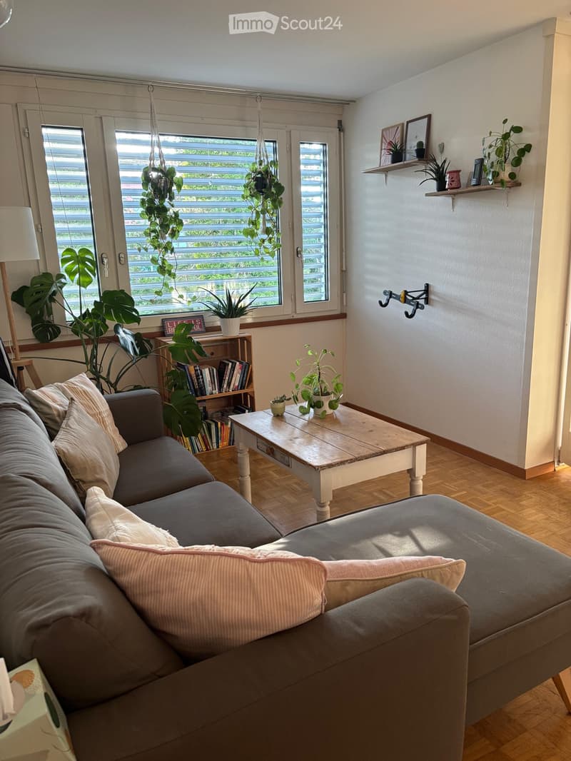 Möblierte 2.5-Zimmer Wohnung zur Untermiete (2)