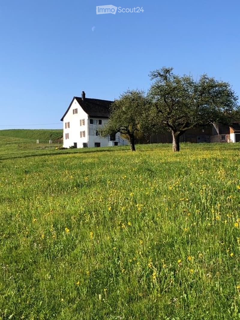 Idyllisches 6.5 Zimmer Bauernwohnhaus Hirzel (1)