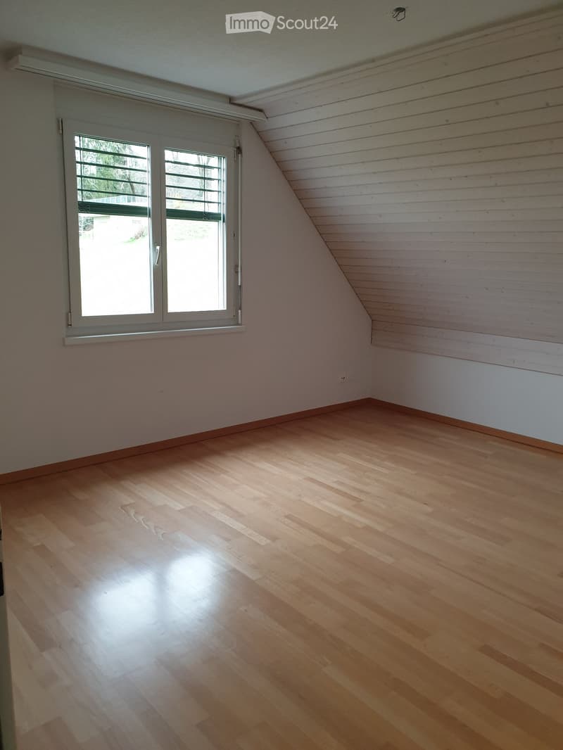 3½-Zimmer-Wohnung in Winkel - Untermieter gesucht (3)