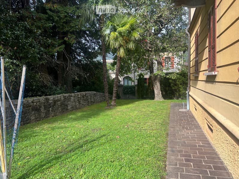 Bellinzona.Ravecchia,4.5 PT con giardino (5)