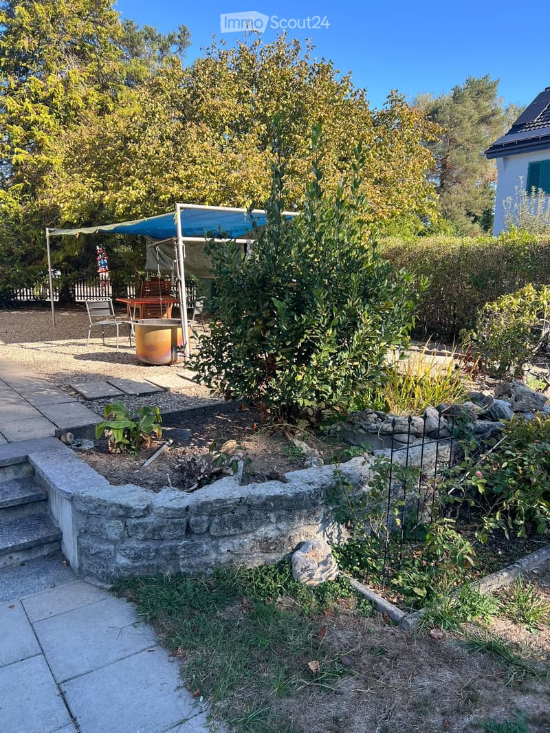 5-Zimmer-Einfamilienhaus mit Pool + viel Umschwung in Aarau (4)