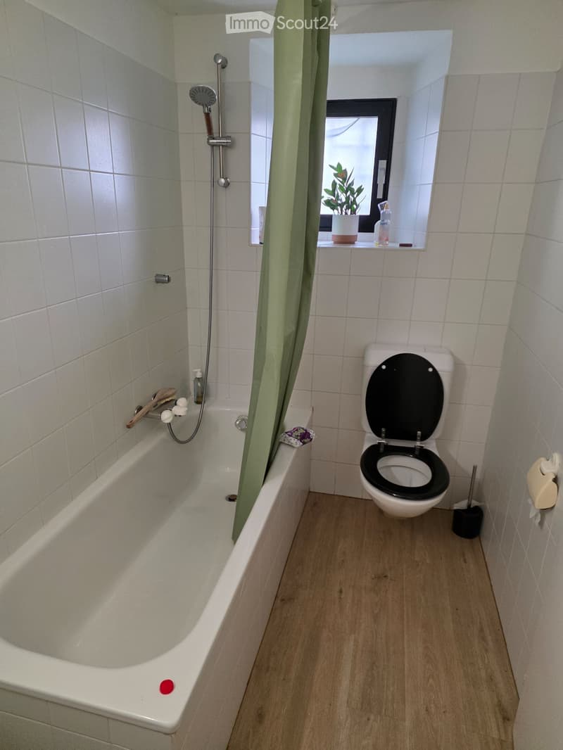Schöne Typische Tessiner Wohnung, Intragna (4)