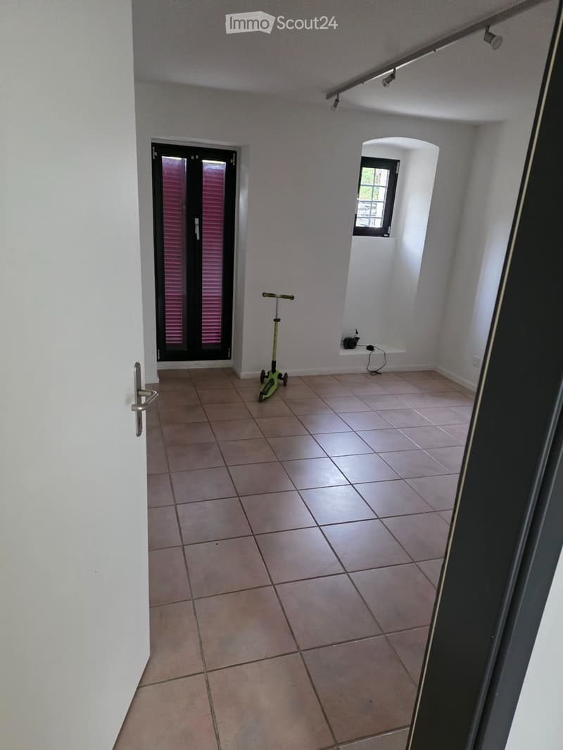 Schöne Typische Tessiner Wohnung, Intragna (3)