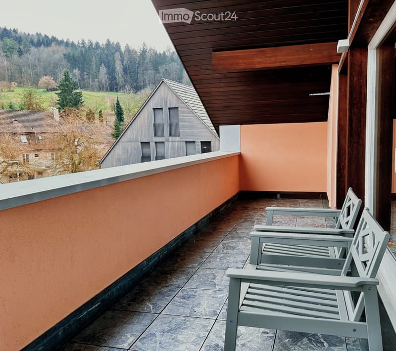 Helle 4.5-ZimmerWohnung mit grosser Terrasse in Spreitenbach (4)
