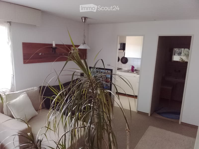 Nachmieter für 1,5 Zimmerwohnung (1)
