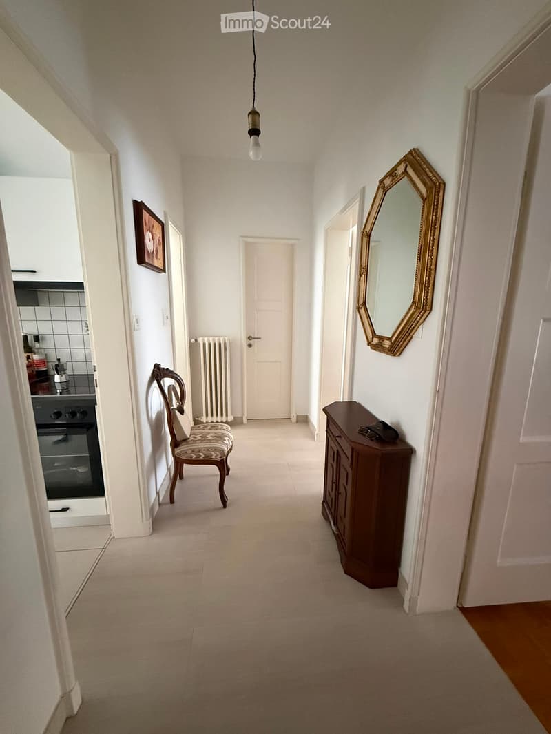 APPARTAMENTO 2.5 LOCALI MURALTO (1)