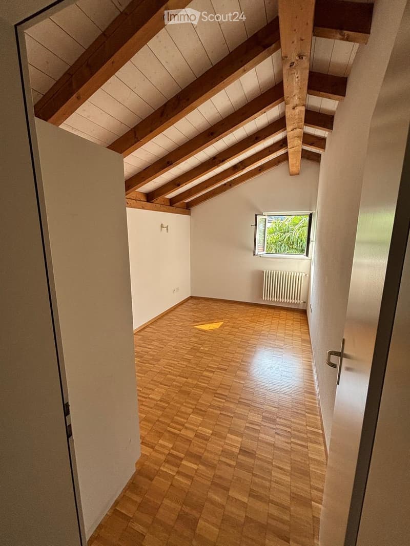 Affittasi Appartamento 4.5 locali in tipica casa ticinese (3)