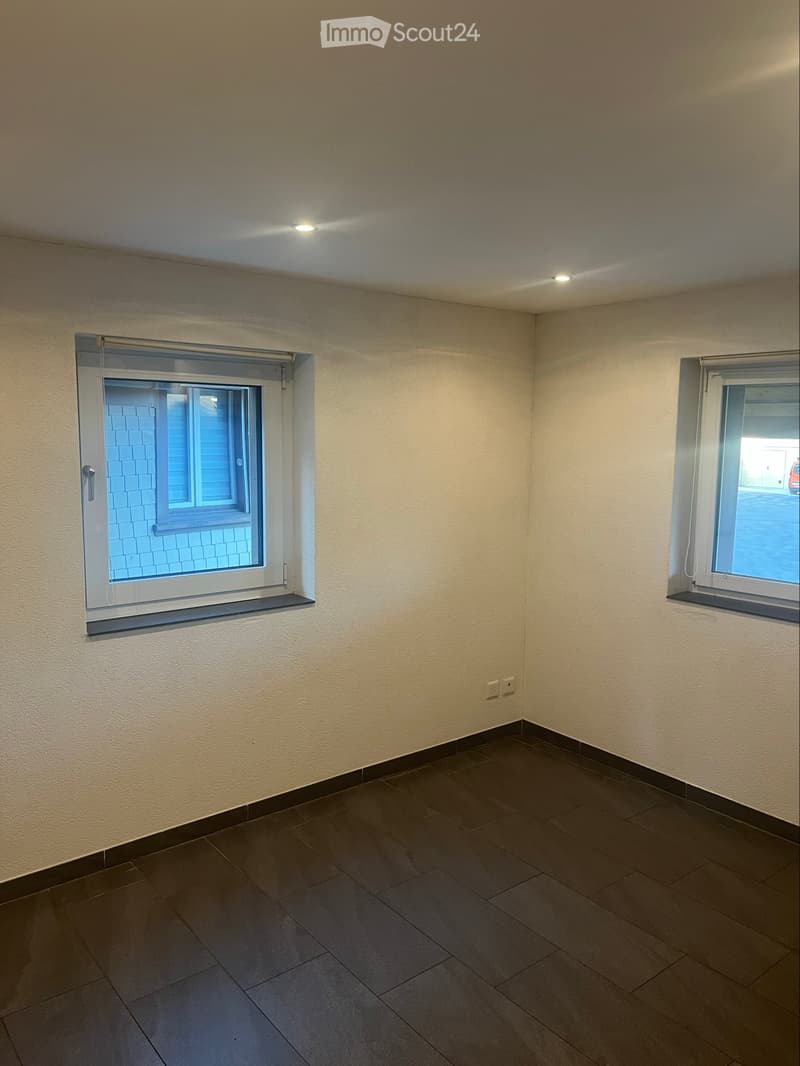 1.5 Zimmer zum vermieten (3)