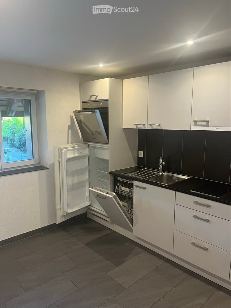 1.5 Zimmer zum vermieten (2)