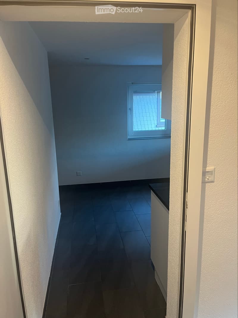 1.5 Zimmer zum vermieten (4)