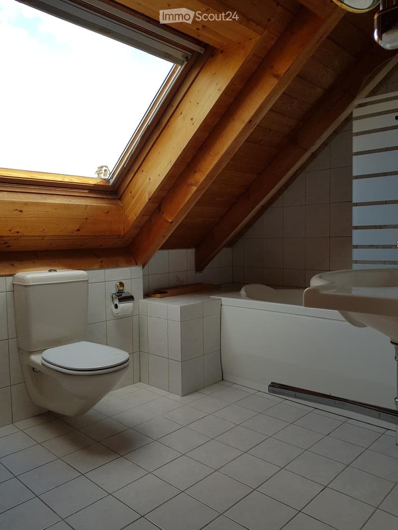 2.5 Zimmer Dachwohnung (3)