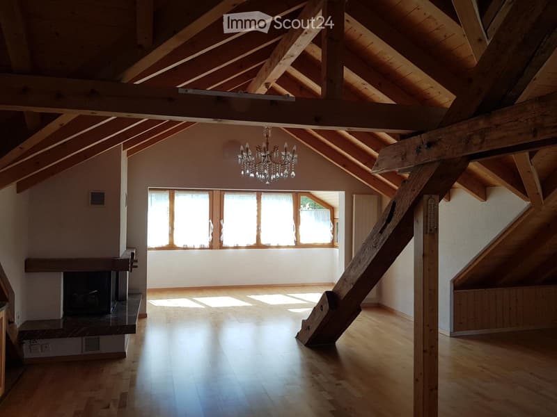 2.5 Zimmer Dachwohnung (1)