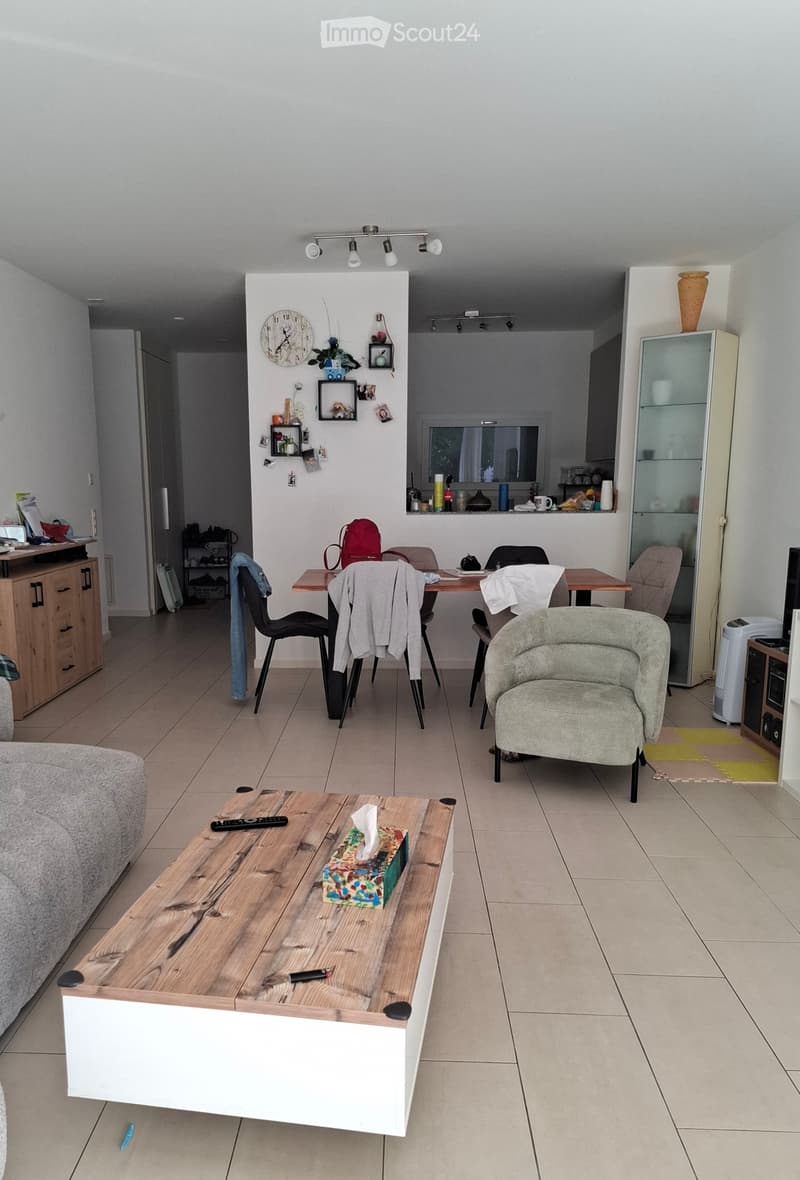 Appartamento 3.5 con posteggio e giardino privato (3)