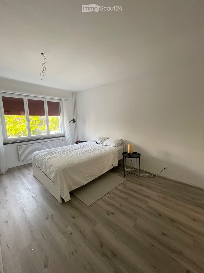 3.5 Zimmer Wohnung (5)