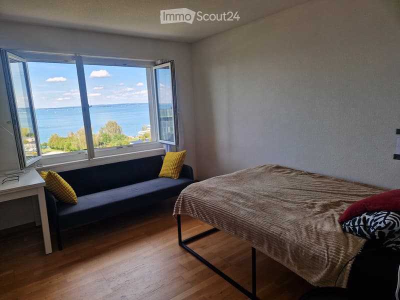 1-Zi Panoramablick-Wohnung (1)