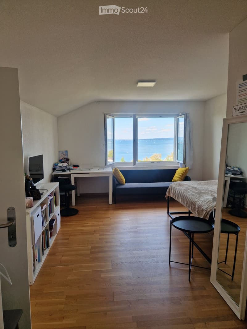 1-Zi Panoramablick-Wohnung (2)