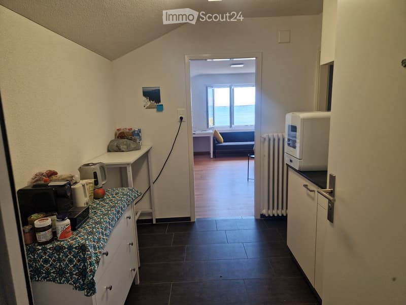1-Zi Panoramablick-Wohnung (3)