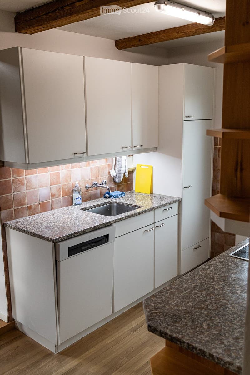 Charmante 3.5 Dachwohnung, Balkon und Bergblick (2)