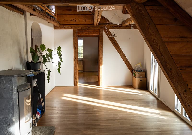 Charmante 3.5 Dachwohnung, Balkon und Bergblick (4)