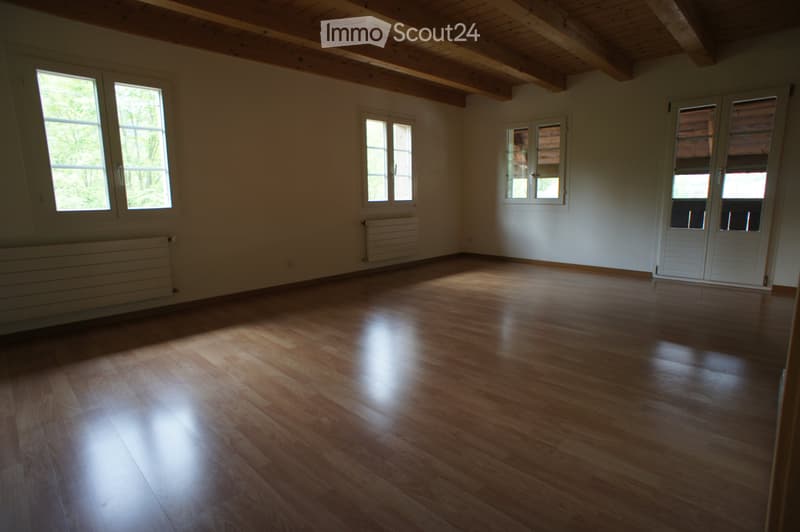 Zu vermieten 4 1/2 Zimmer-Wohnung (5)