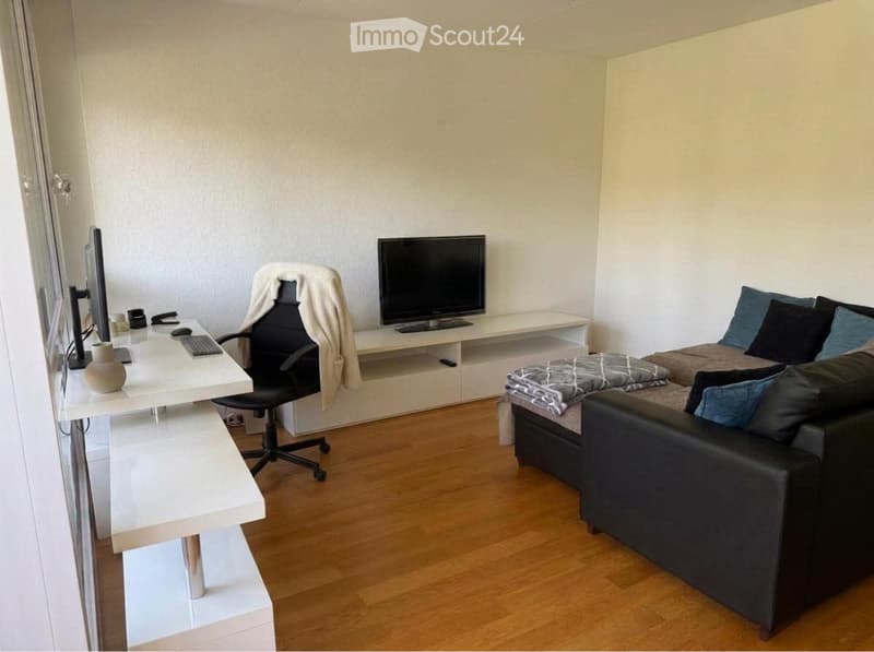 Magnifique appartement rare (4)