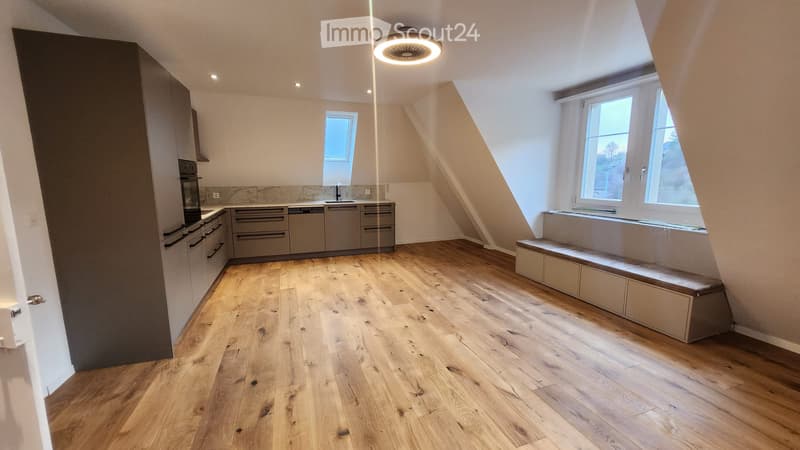 Moderne 5.5 Zimmer-Maisonettewohnung (1)