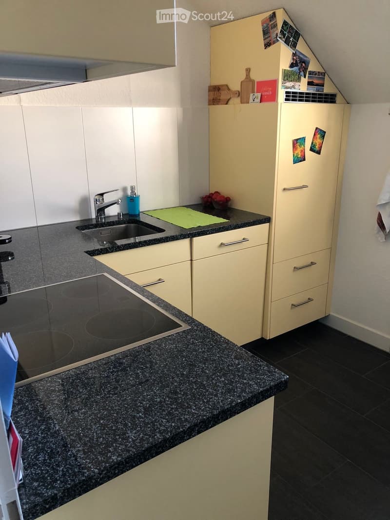 schöne 4.5 Zimmer Wohnung in 6252 Dagmersellen (3)