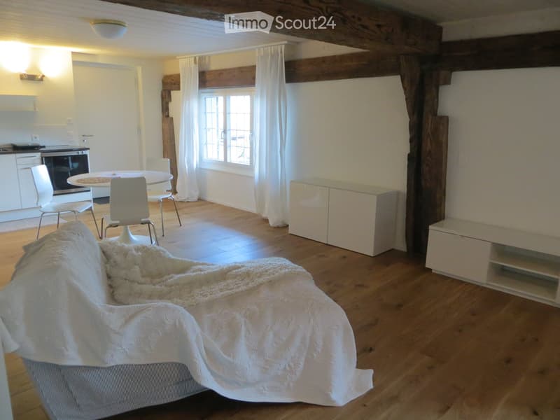 1,5 Zimmer Studio (3)
