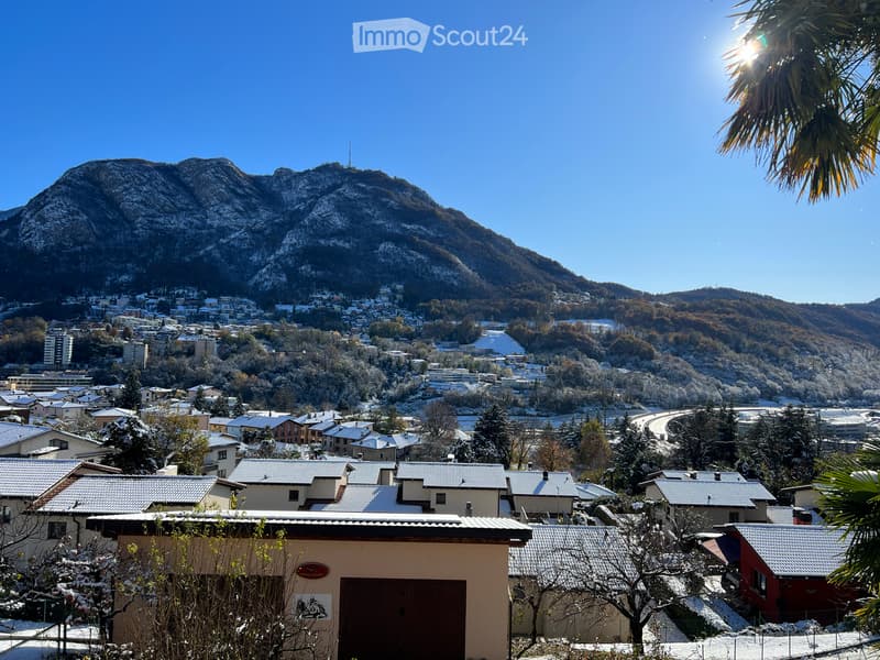 Subentrante 3,5 locali Gentilino (4)