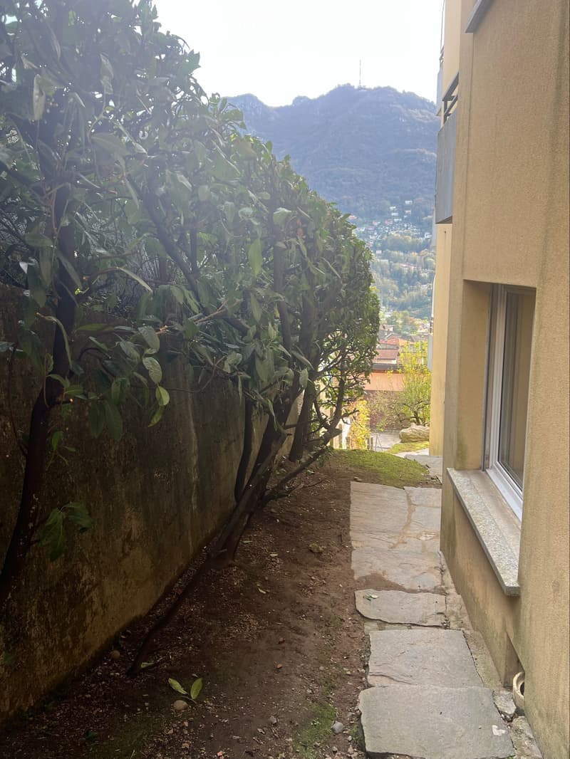 Subentrante 3,5 locali Gentilino (5)