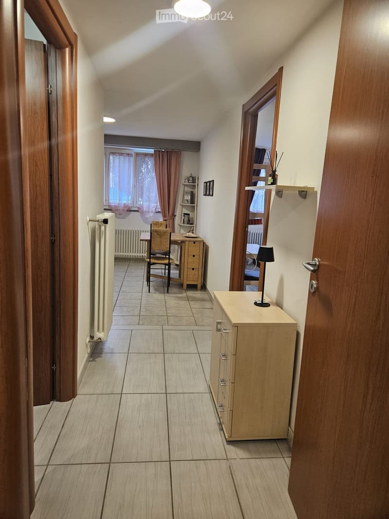 Sementina grazioso bilocale arredato + giardino/orto (5)