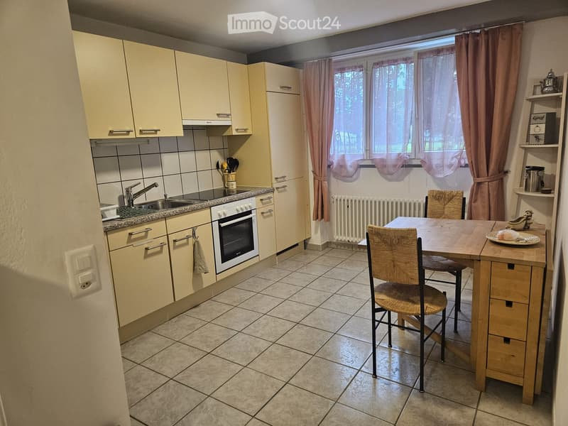 Sementina grazioso bilocale arredato + giardino/orto (1)