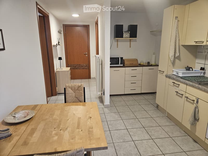 Sementina grazioso bilocale arredato + giardino/orto (3)