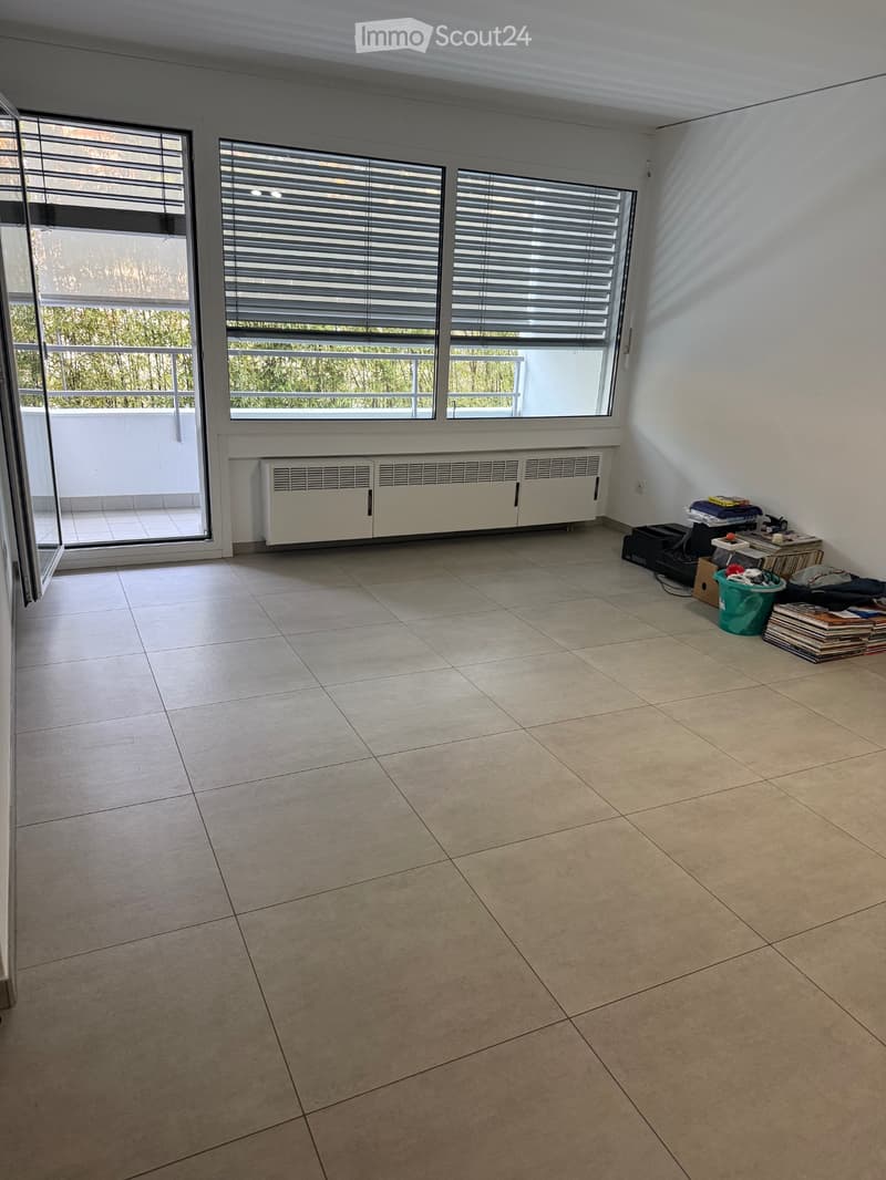 Chiasso Affittasi (2)
