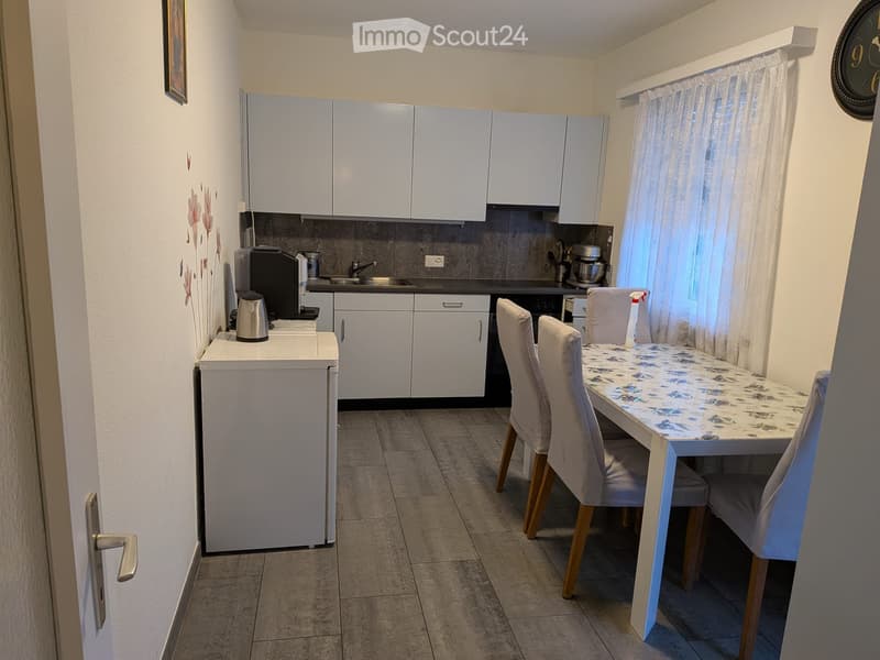 Spazioso 4.5 locali ammobiliato con due terrazze a Locarno (1)