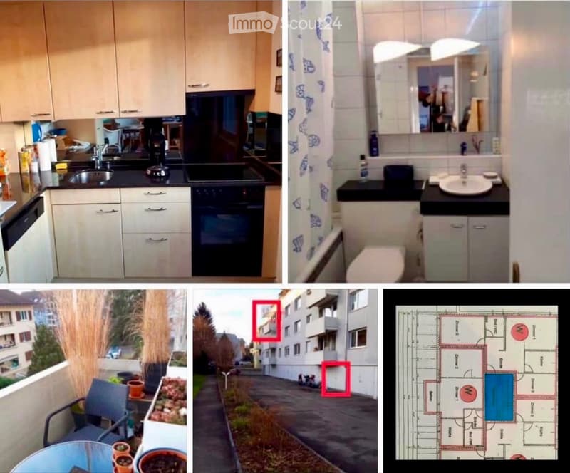 Wohnung (1)