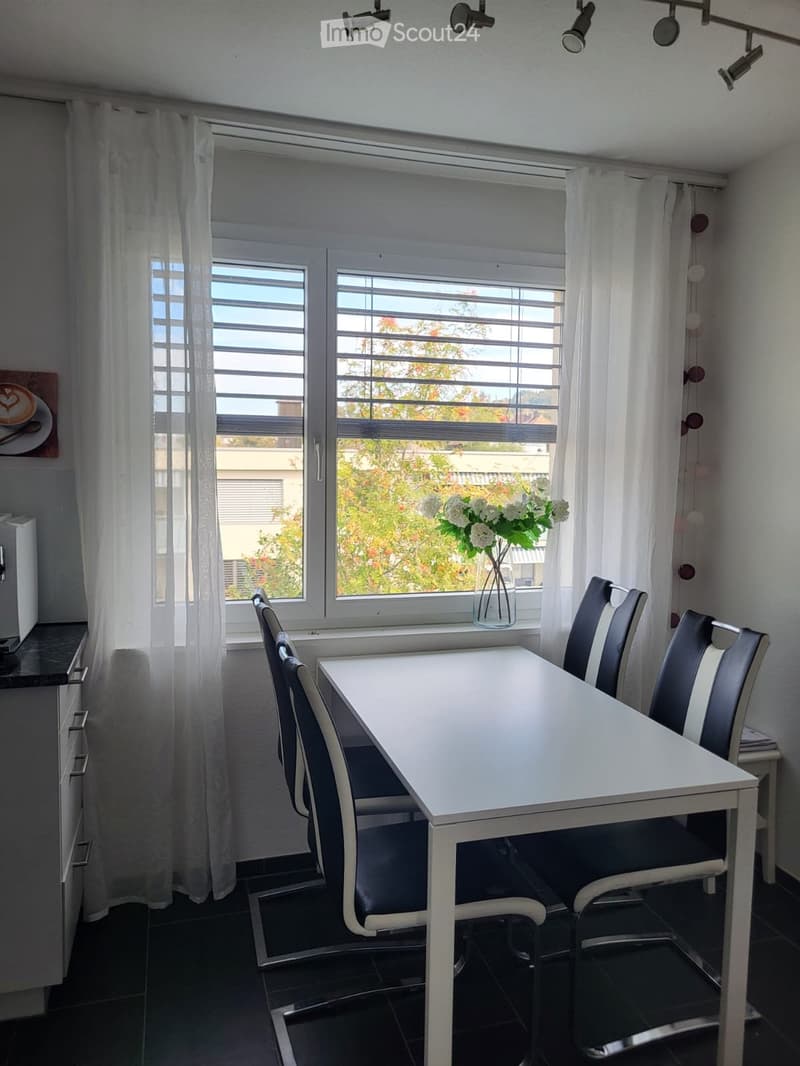 schöne 1,5-Zimmer-Wohnung zur Untermiete möbliert (5)