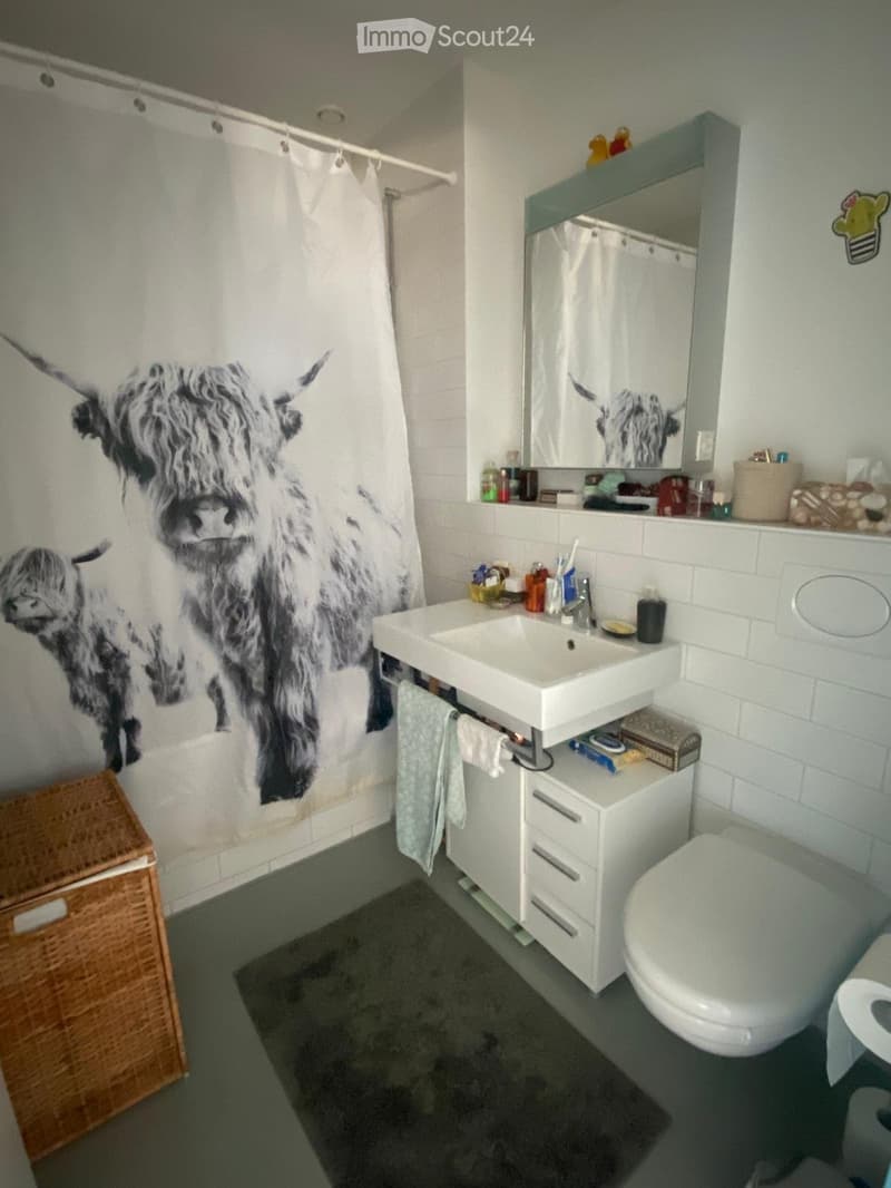 Möblierte 2.5-Zimmer-Wohnung in Bern-Brünnen zur Untermiete (5)
