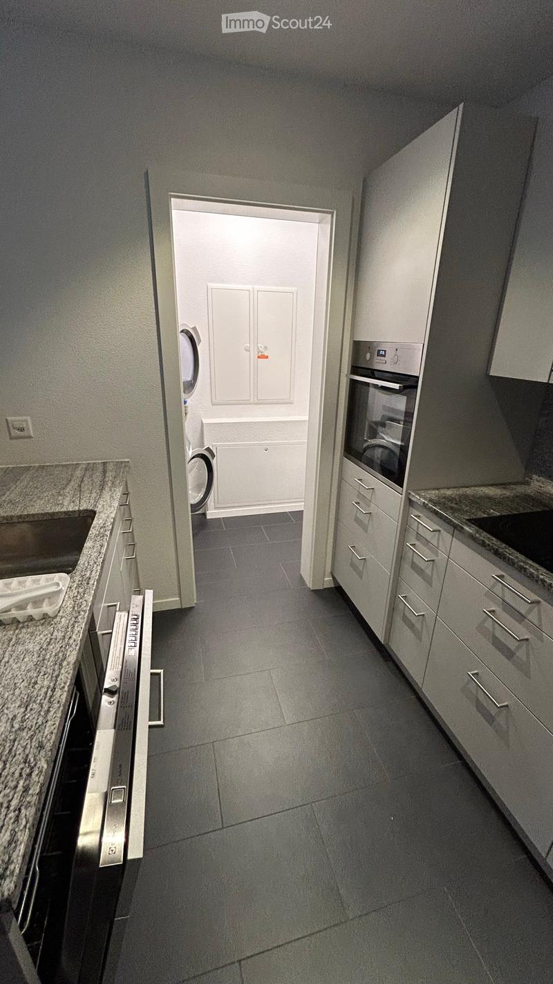 Moderne helle 4.5 Zimmer Wohnung (3)
