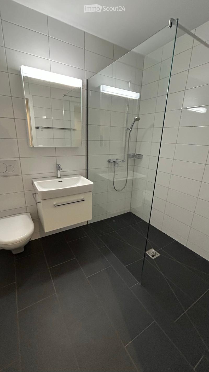 Moderne helle 4.5 Zimmer Wohnung (2)
