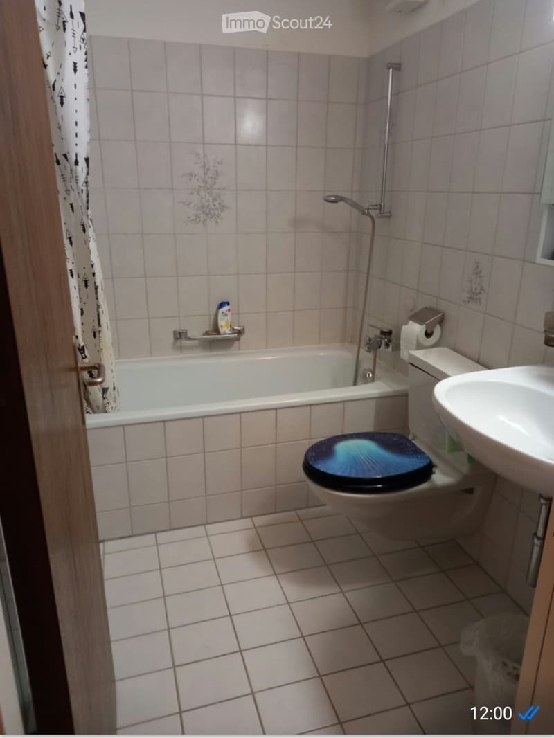2.5 Zimmer zum Mieten (4)