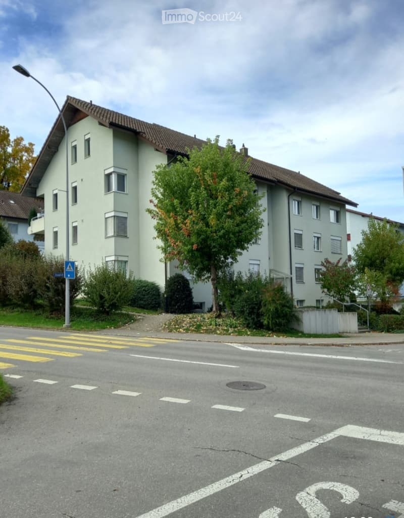 2.5 Zimmer zum Mieten (1)