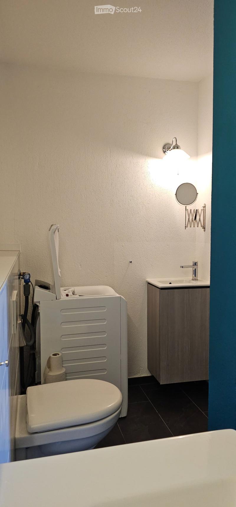 3.5 ehm. 4.5 Zi. 120m2 BW, lichtdurchflutet, ruhig, Attika (9)