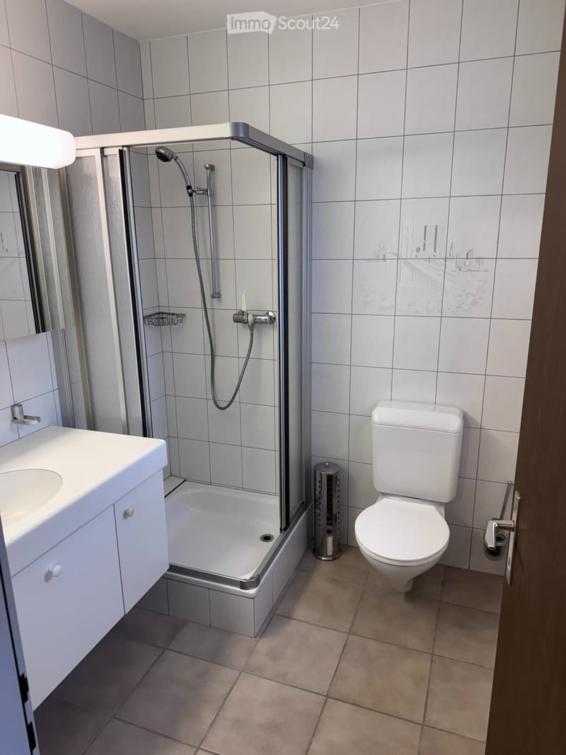 Möbliertes Studio in BrittnauCHF 890 inklusive Nebenkosten (4)