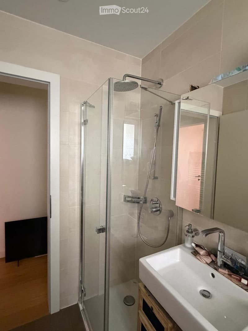Luxusappartment mit Kellerabteil inkl. WM und Tumbler (3)