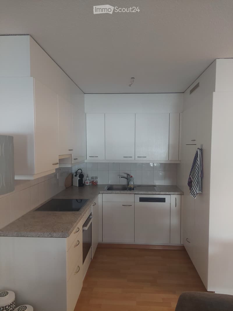 Charmante 3- Zimmerwohnung im Hochparterre (2)
